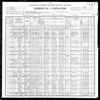 1900 US Census Andrew Steavens